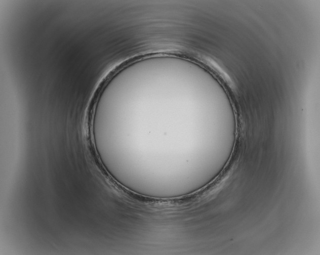 X0000111450883200907131039