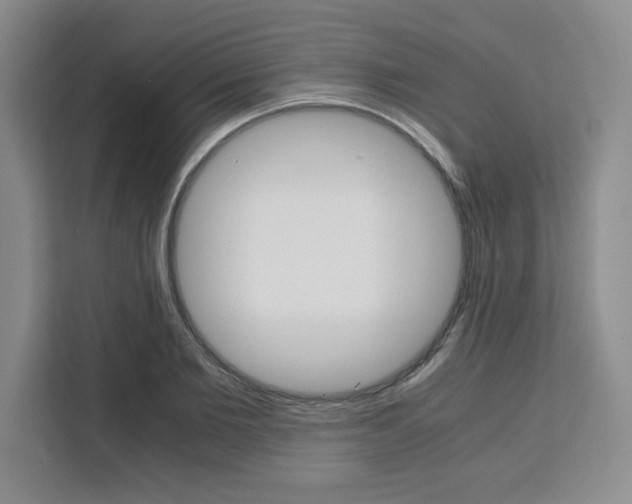 X0000111450885200907131039