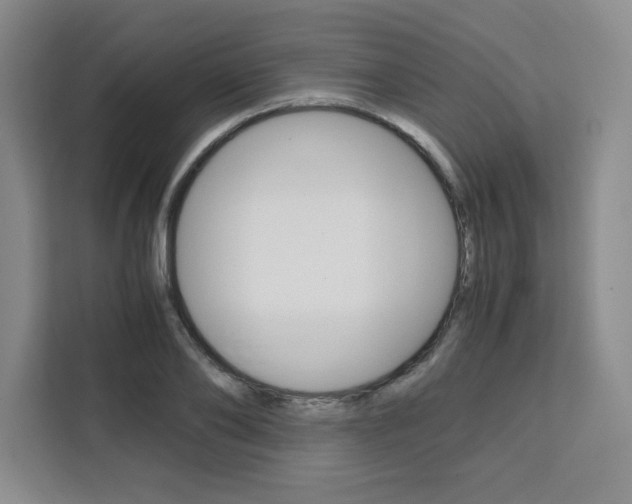 X0000111450886200907131039
