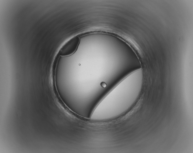 X0000111450888200907131039