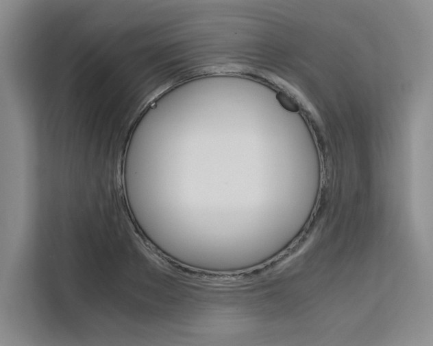 X0000111450889200907131038