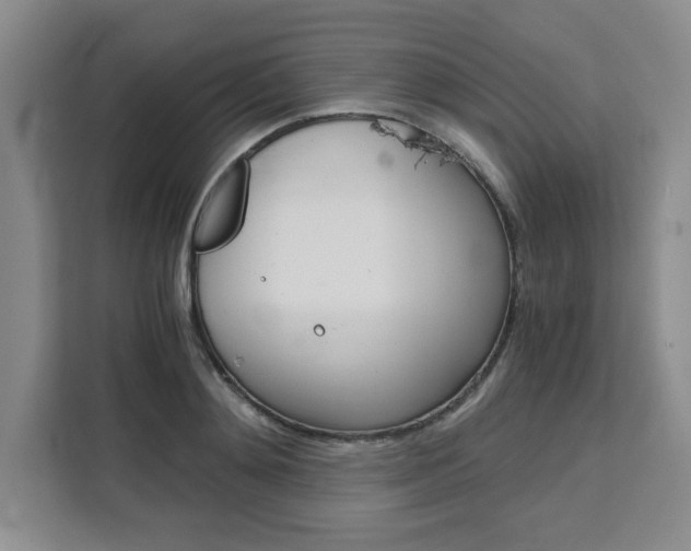 X0000111450892200907131038