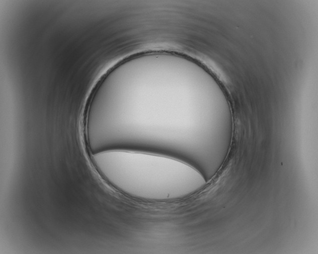 X0000111450895200907131038