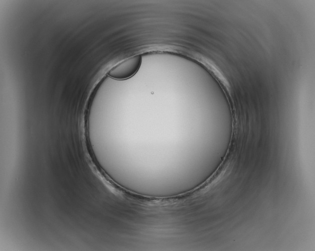 X0000111450898200907131038
