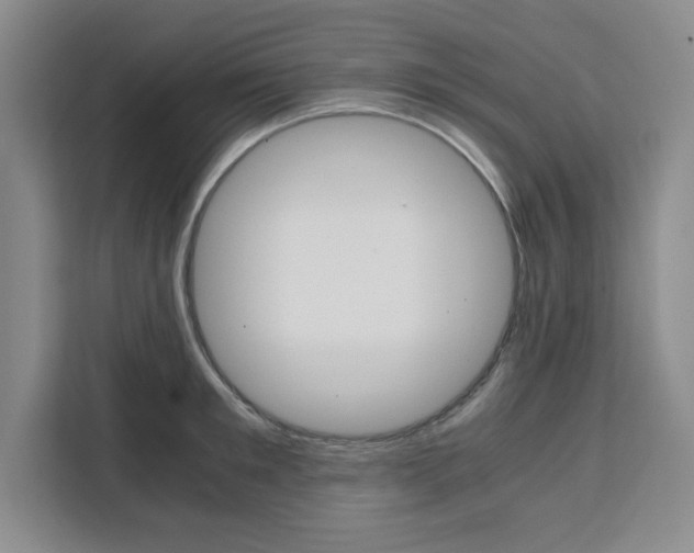 X0000111450901200907131038