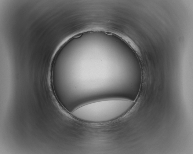 X0000111450904200907131038