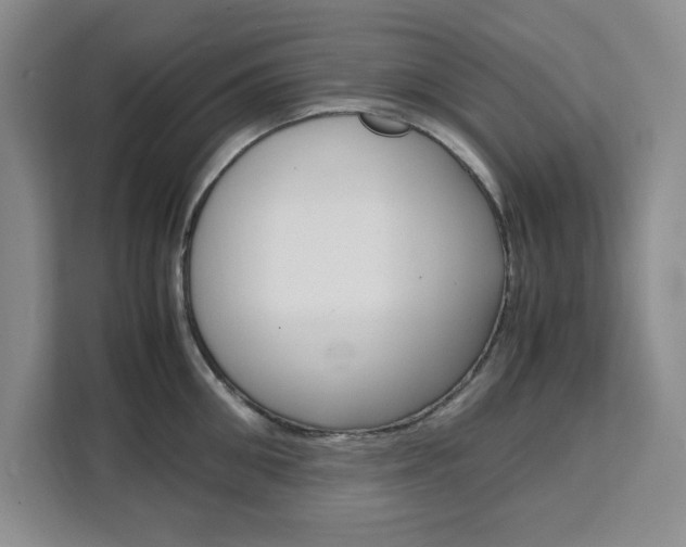 X0000111450906200907131038