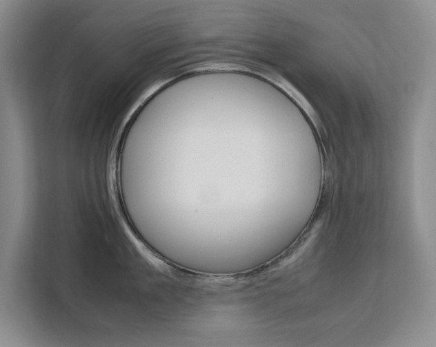 X0000111450909200907131038