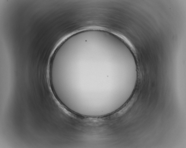 X0000111450910200907131038