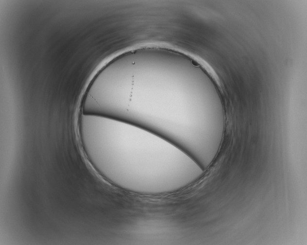 X0000111450911200907131038