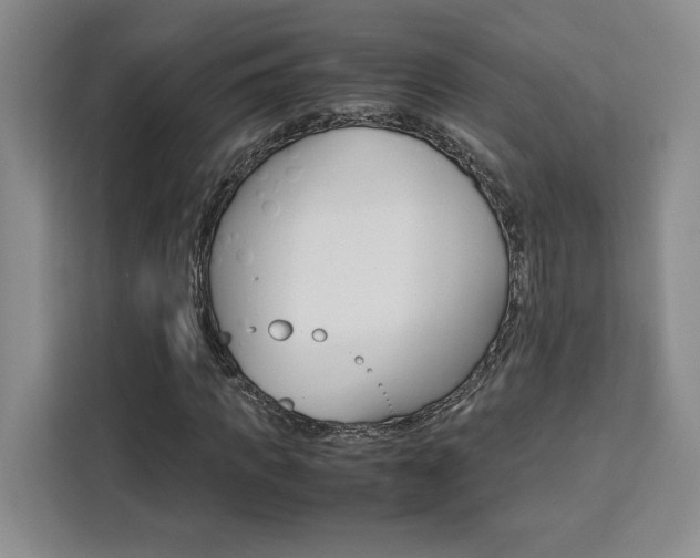 X0000111450917200907131038