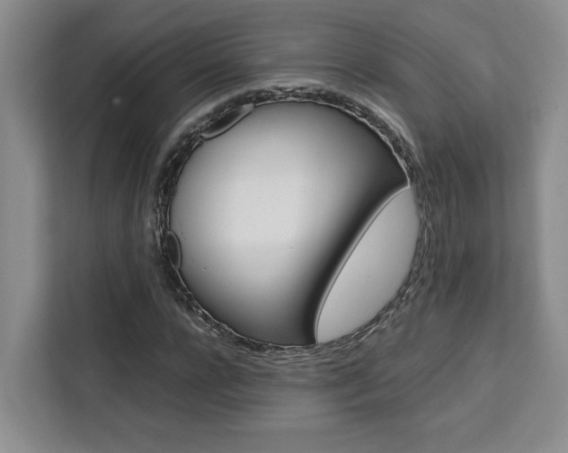 X0000111450920200907131038