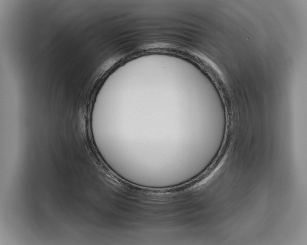 X0000111450921200907131038
