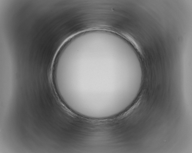 X0000111450924200907131038