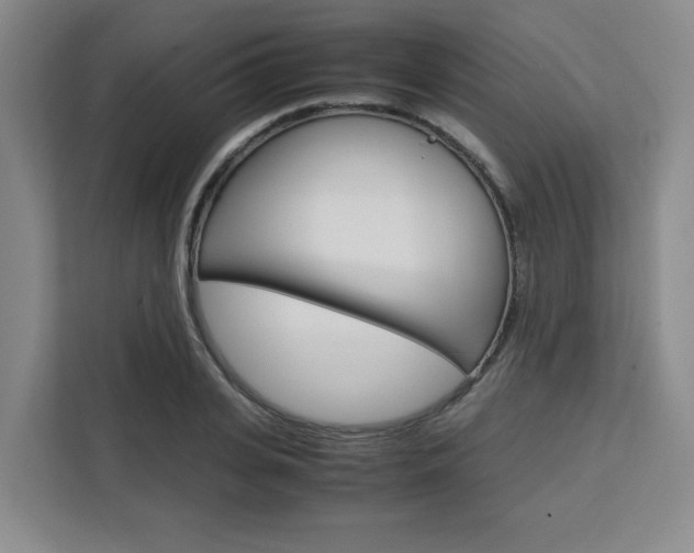 X0000111450935200907131038