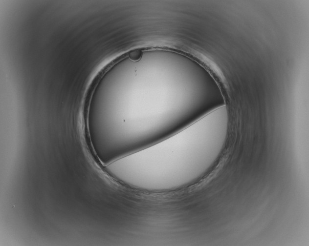 X0000111450936200907131038