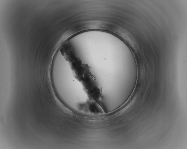 X0000111450938200907131038