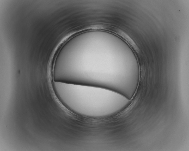 X0000111450939200907131038