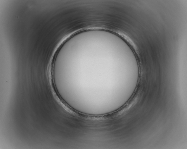 X0000111450941200907131038