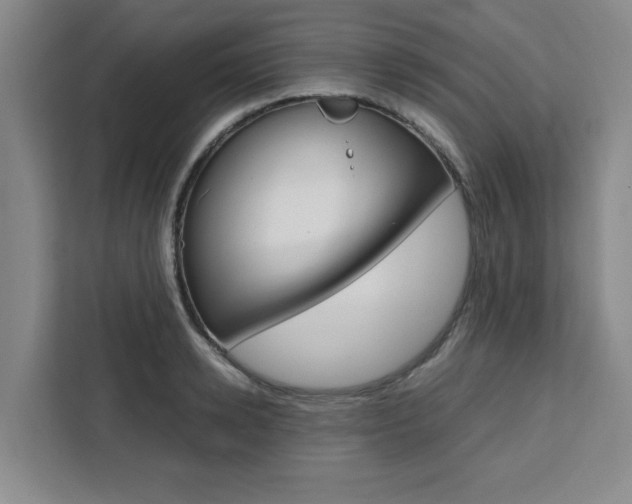 X0000111450942200907131038