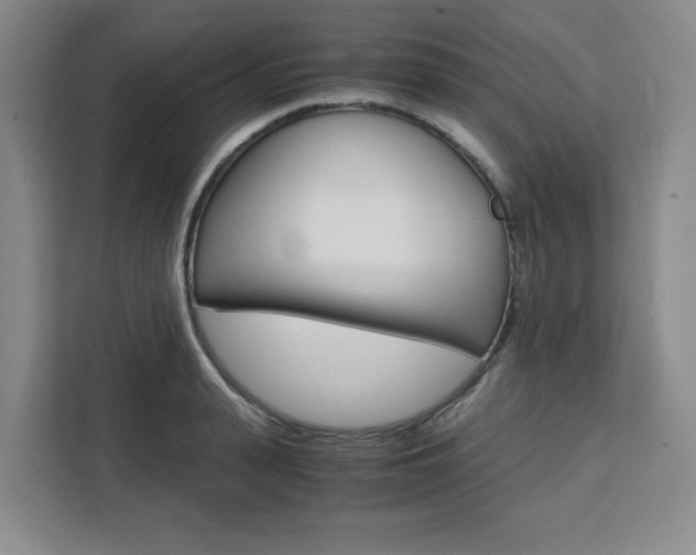 X0000111450943200907131038