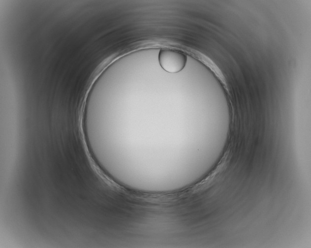 X0000111450946200907131038
