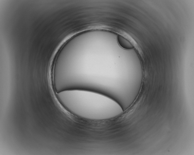 X0000111450947200907131038