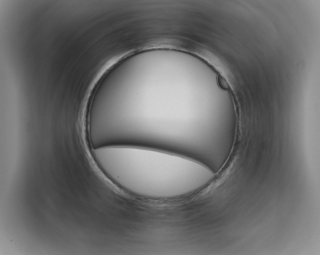 X0000111450949200907131038