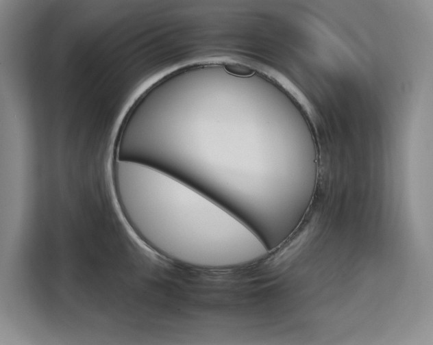X0000111450951200907131038