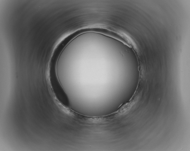 X0000111450952200907131038