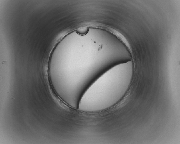 X0000111450954200907131038