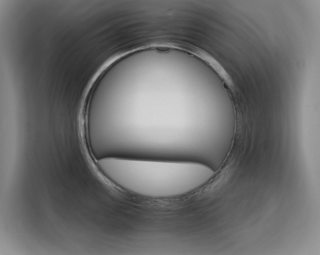 X0000111450955200907131038