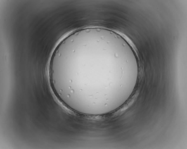 X0000111450957200907131038