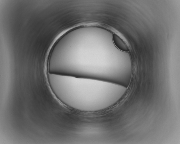 X0000111450959200907131038