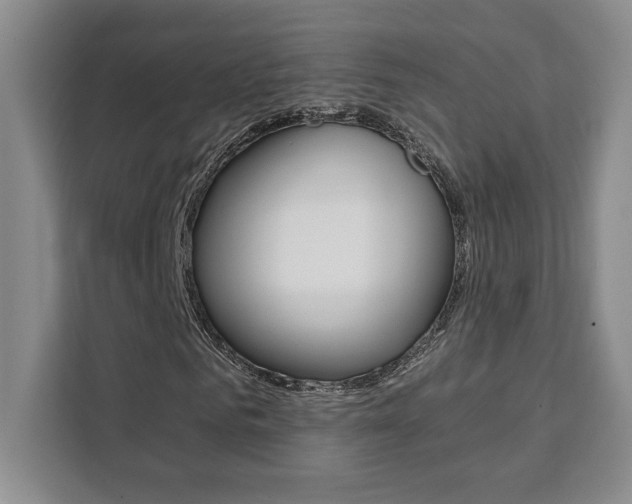 X0000111450961200907131038