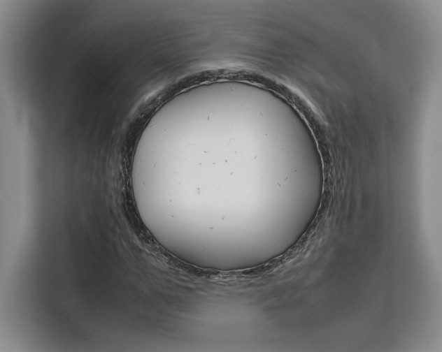 X0000111450967200907131037