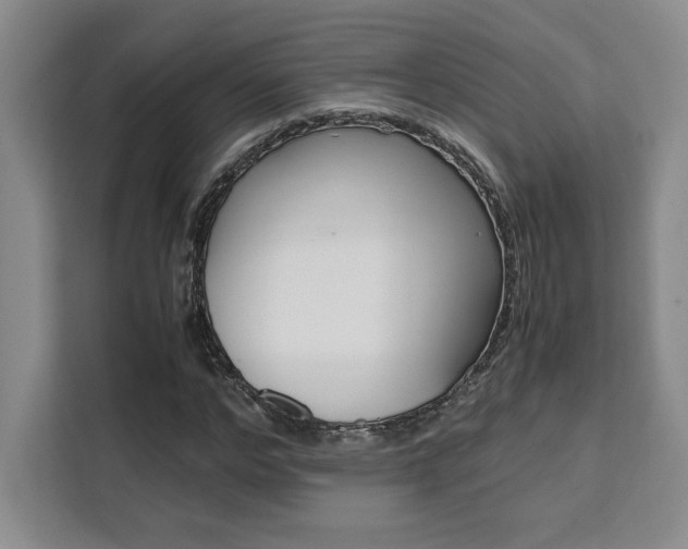 X0000111450968200907131037