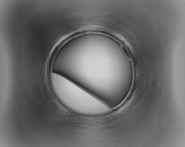 X0000111450973200907131037