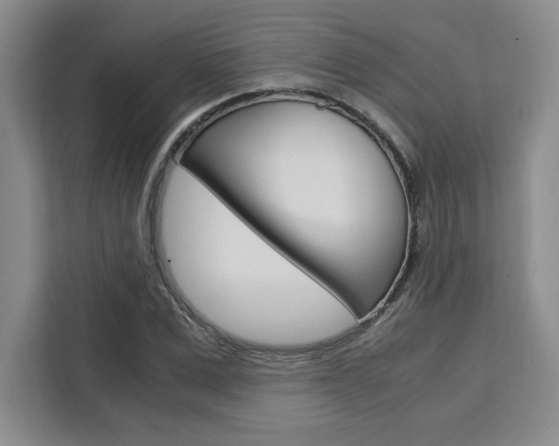X0000111450975200907131037