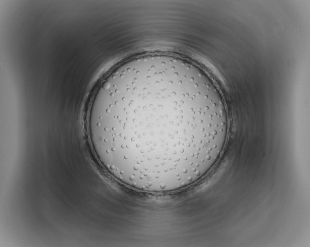 X0000111450978200907131037