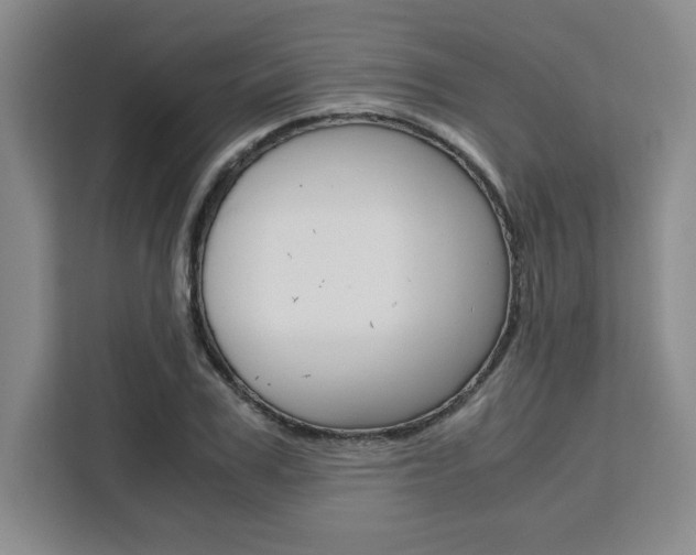 X0000111450979200907131037