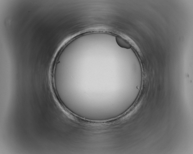 X0000111450989200907131037