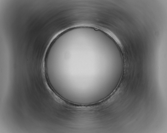 X0000111450996200907131037