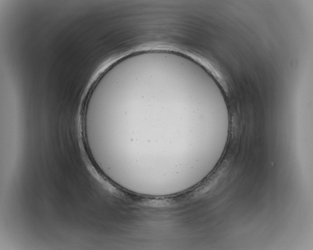 X0000111450998200907131037
