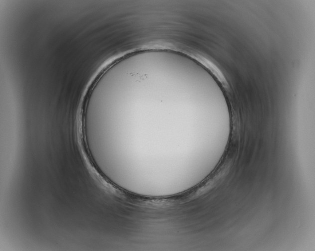 X0000111451000200907131037