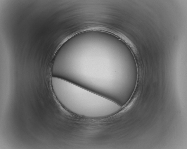 X0000111451001200907131037