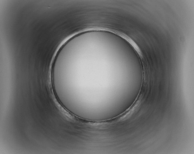 X0000111451004200907131037