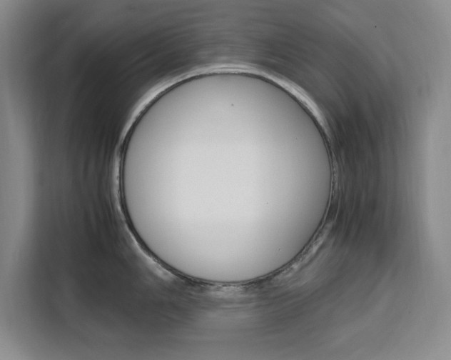 X0000111451006200907131037