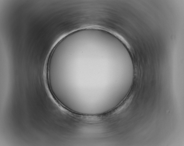 X0000111451007200907131037