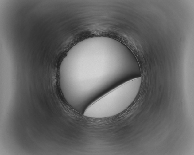X0000111451012200907131036